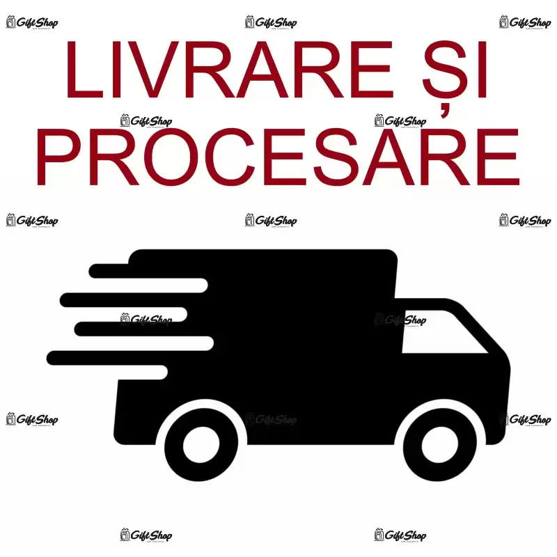 Servicii manipulare si transport colet 29